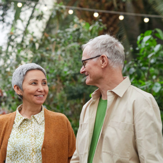 pension et sucession pareto